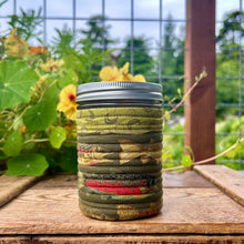 Load image into Gallery viewer, Pint JarWearz